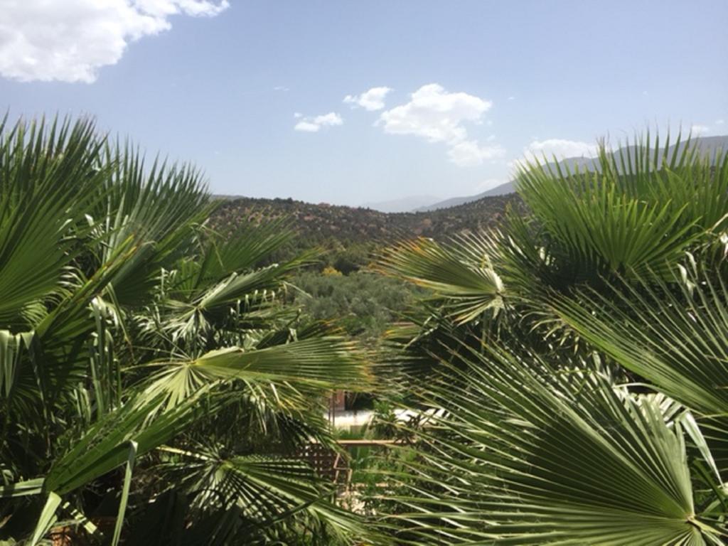 Domaine Malika - Adults Only Hotel Ouirgane Exterior foto